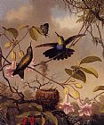 Martin Johnson Heade Famous Paintings - Fort-Tailed Woodnymph